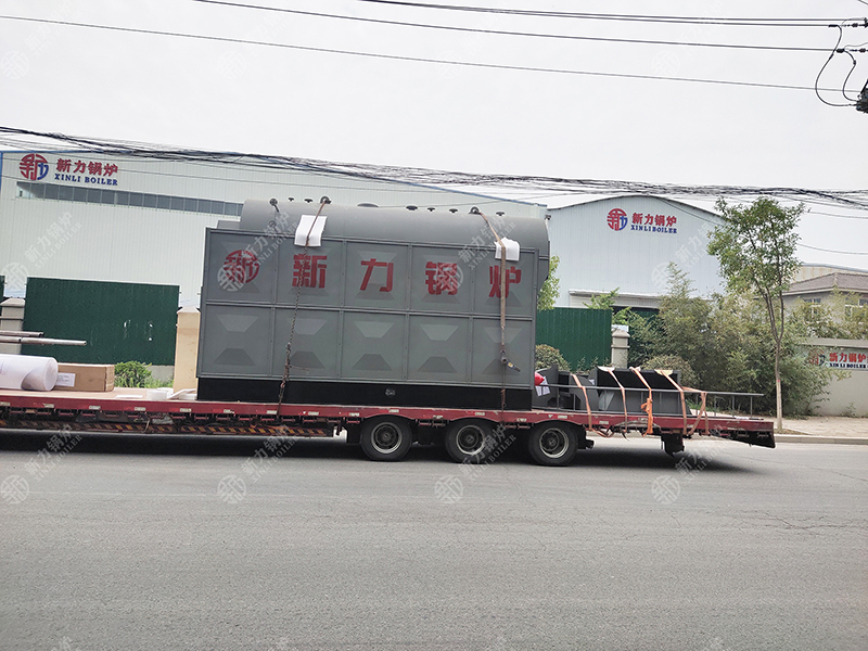 1740735496708261 DZH生物质热水锅炉
