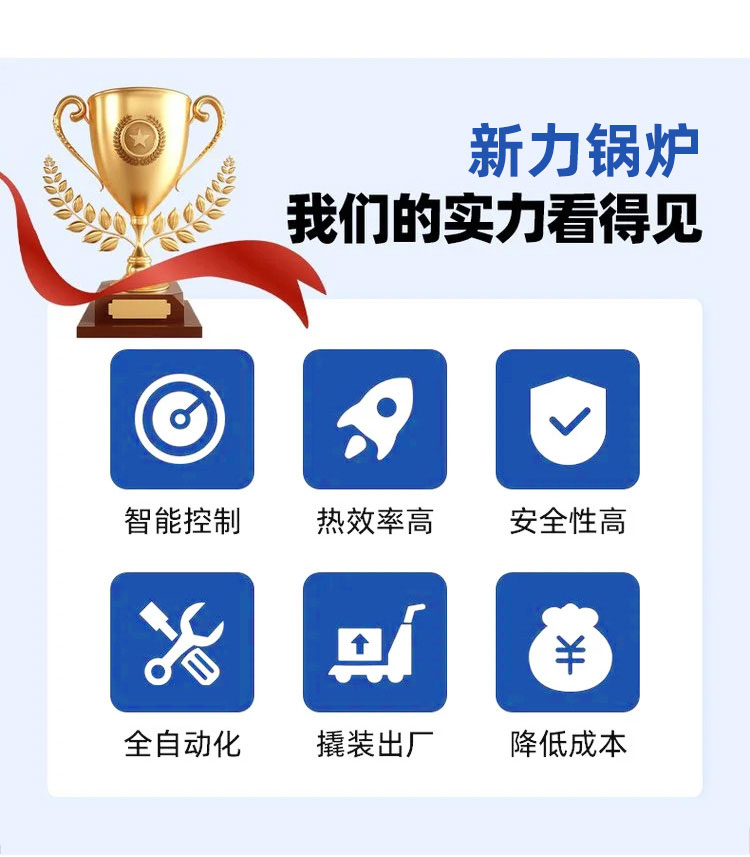 1745287835168385 生物质锅炉